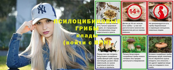 эйфоретик Алексин