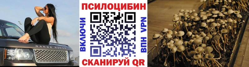 Галлюциногенные грибы Cubensis  как найти   Ханты-Мансийск 