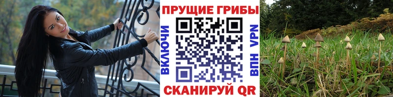 Псилоцибиновые грибы ЛСД Ханты-Мансийск